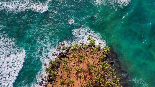 Mirissa Beach and Coconut Tree Hill: The Best-Kept Secrets of Mirissa Beach & Coconut Tree Hill