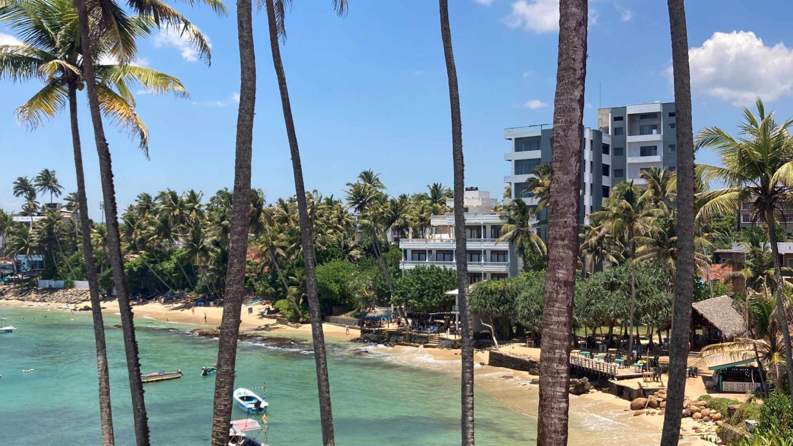 Mirissa Beach and Coconut Tree Hill: A Slice of Paradise in Sri Lanka