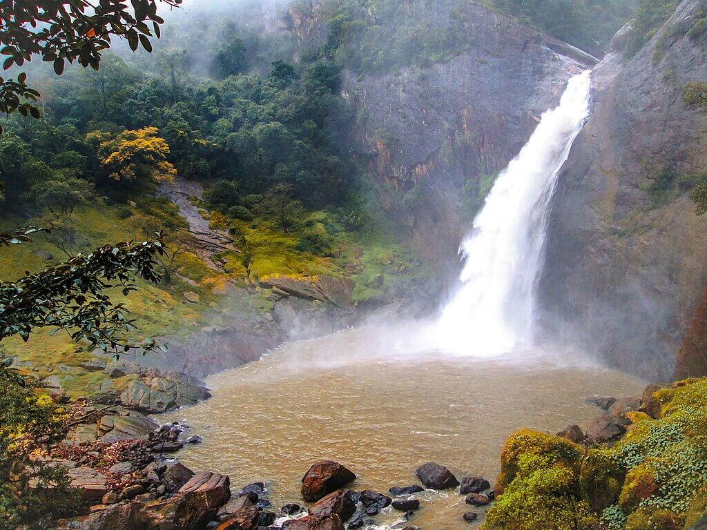 The Veil of Mist: A Traveler’s Journey to Dunhinda, Sri Lanka