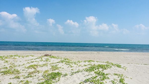 Casuarina Beach: Walk on Water in Jaffna