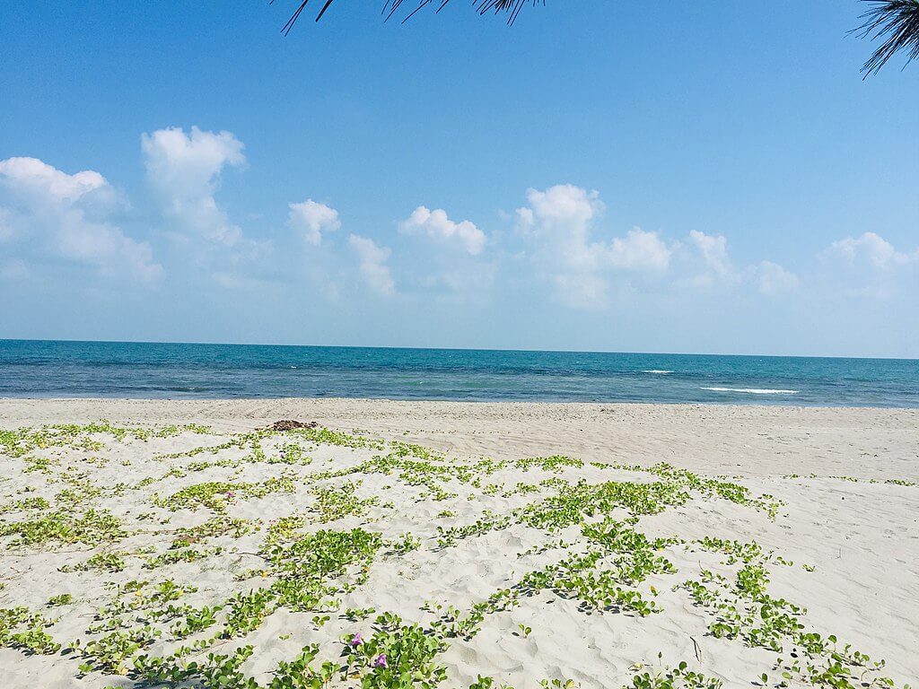 Walk on Water in Jaffna: Your Guide to Casuarina Beach