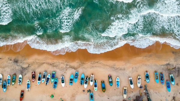 Arugam Bay: Where Wild Elephants and World-Class Waves Meet