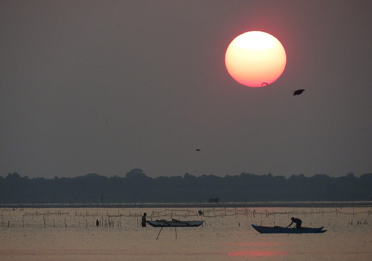 Kokkilai Bird Sanctuary: Where the Wild Things Are in Sri Lanka