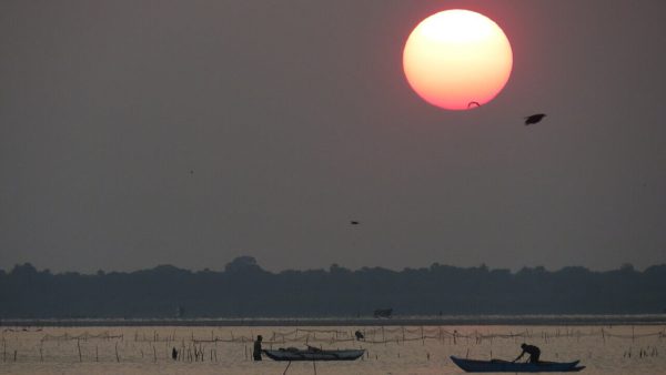 Kokkilai Bird Sanctuary: Where the Wild Things Are in Sri Lanka