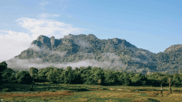 Gal Oya National Park: Where Elephants Swim