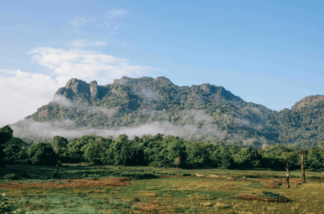 Where Elephants Swim: A Traveler’s Guide to Gal Oya National Park