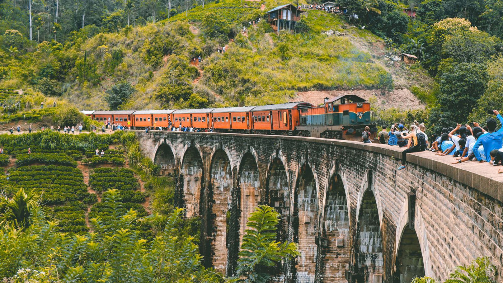 Sri Lanka’s Jungle Railway: A Traveler’s Guide to the Nine Arches Bridge